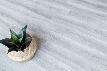 Клеевая кварцвиниловая плитка Alpine Floor Легкие линии (Easy Line) ДУБ ТУМАННЫЙ ECO 3-26